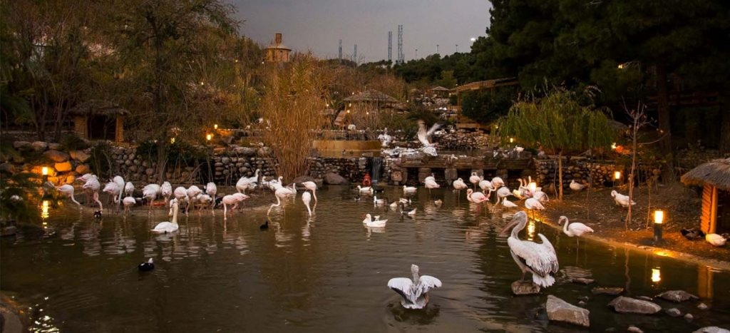 پرندگان - اگر توانایی مالی مسافرت در عید را ندارید این 7 مکان دیدنی را در تهران از دست ندهید