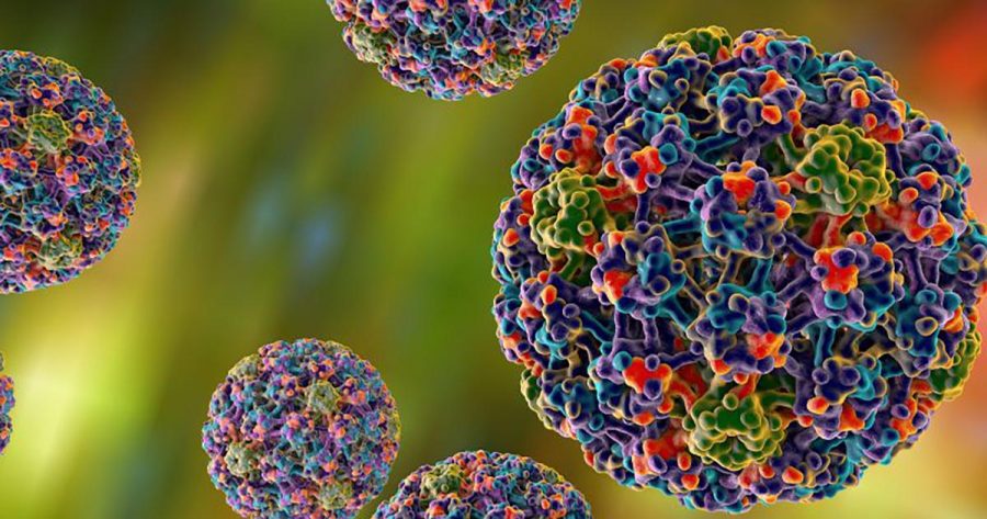 HPV2 - راه‌هایی که کمک می‌کند زگیل تناسلی نگیرید و در صورت ابتلا، درمان شوید