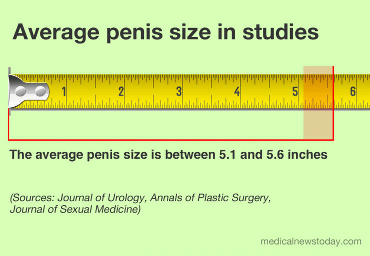 penize size - اندازه آلت تناسلی مردان چه تاثیری در رابطه جنسی دارد و نظر زنان در این باره چیست؟